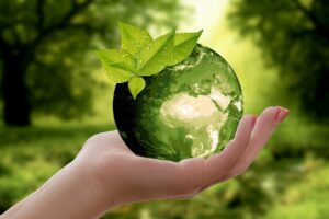 Sostenibilità e green, amazon, greentech
