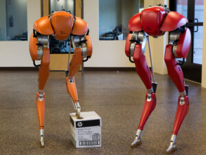cassie, robot