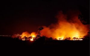 Intelligenza artificiale per domare gli incendi