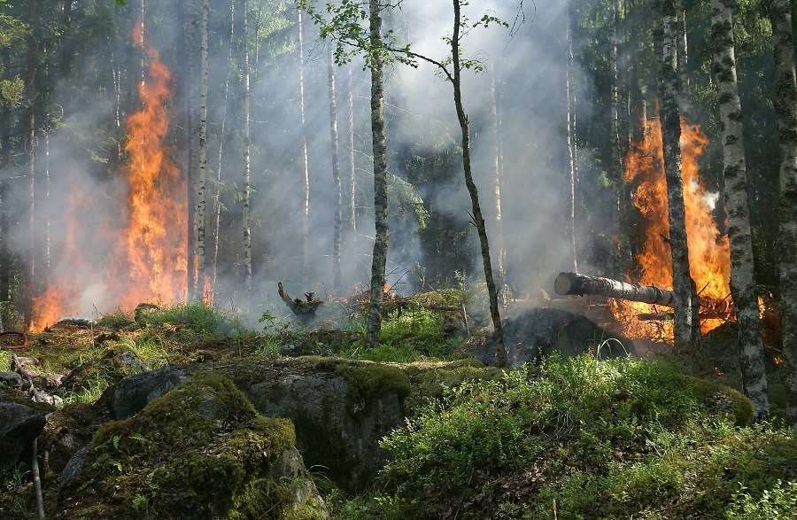 intelligenza artificiale per prevenire gli incendi