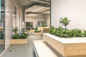 architettura sostenibile