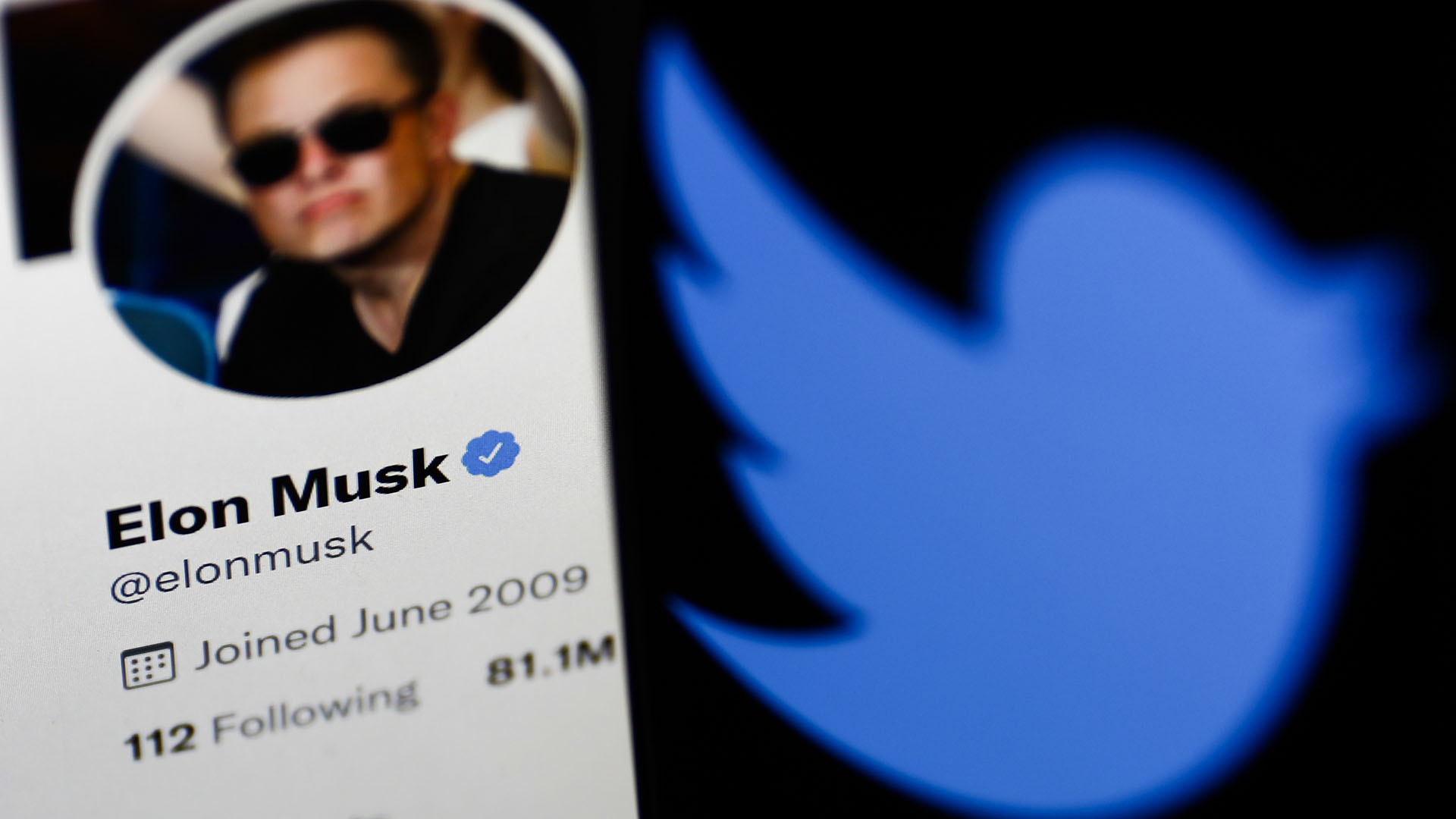 startup IA - Elon Musk, X