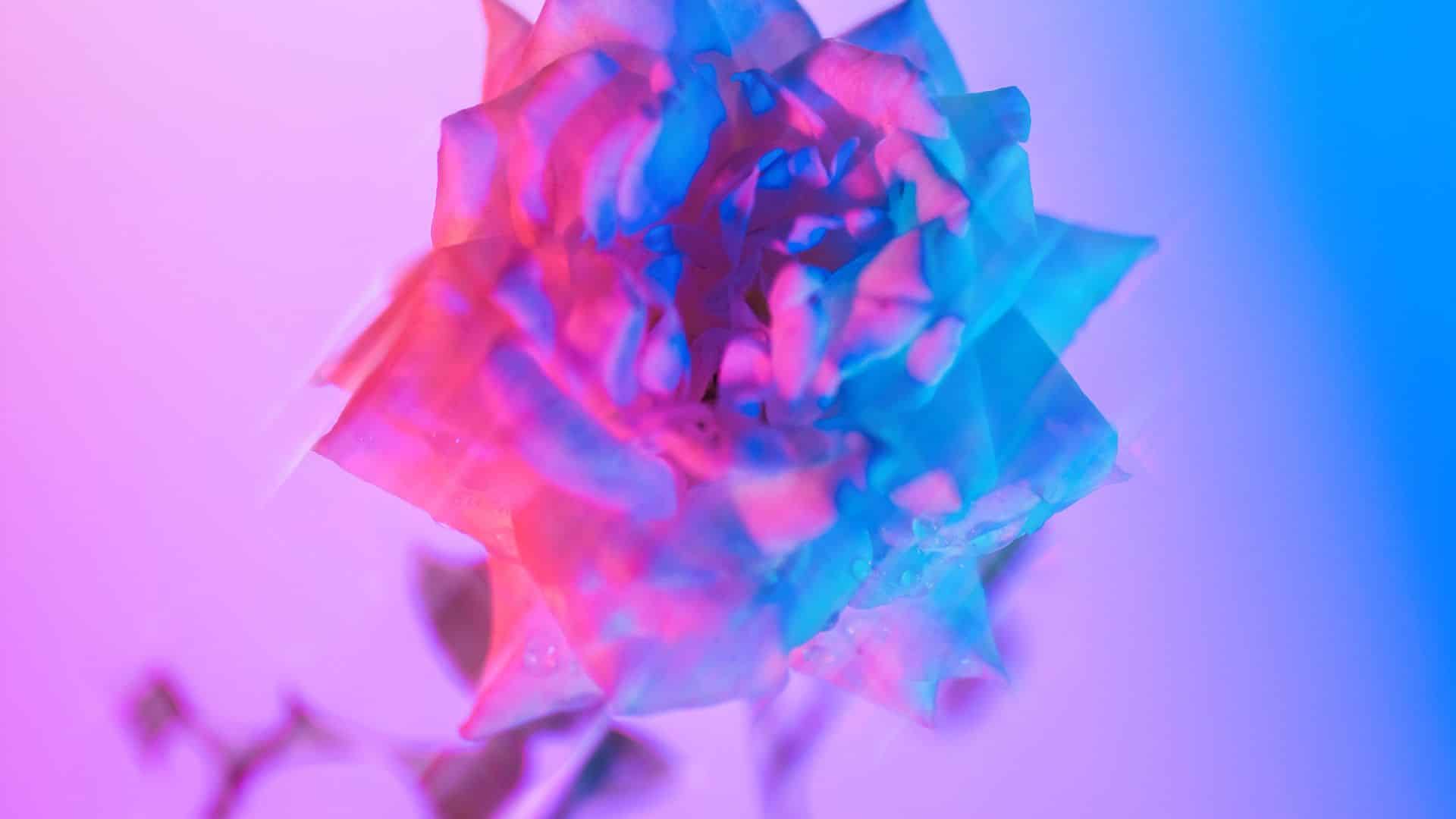 Stable Diffusion