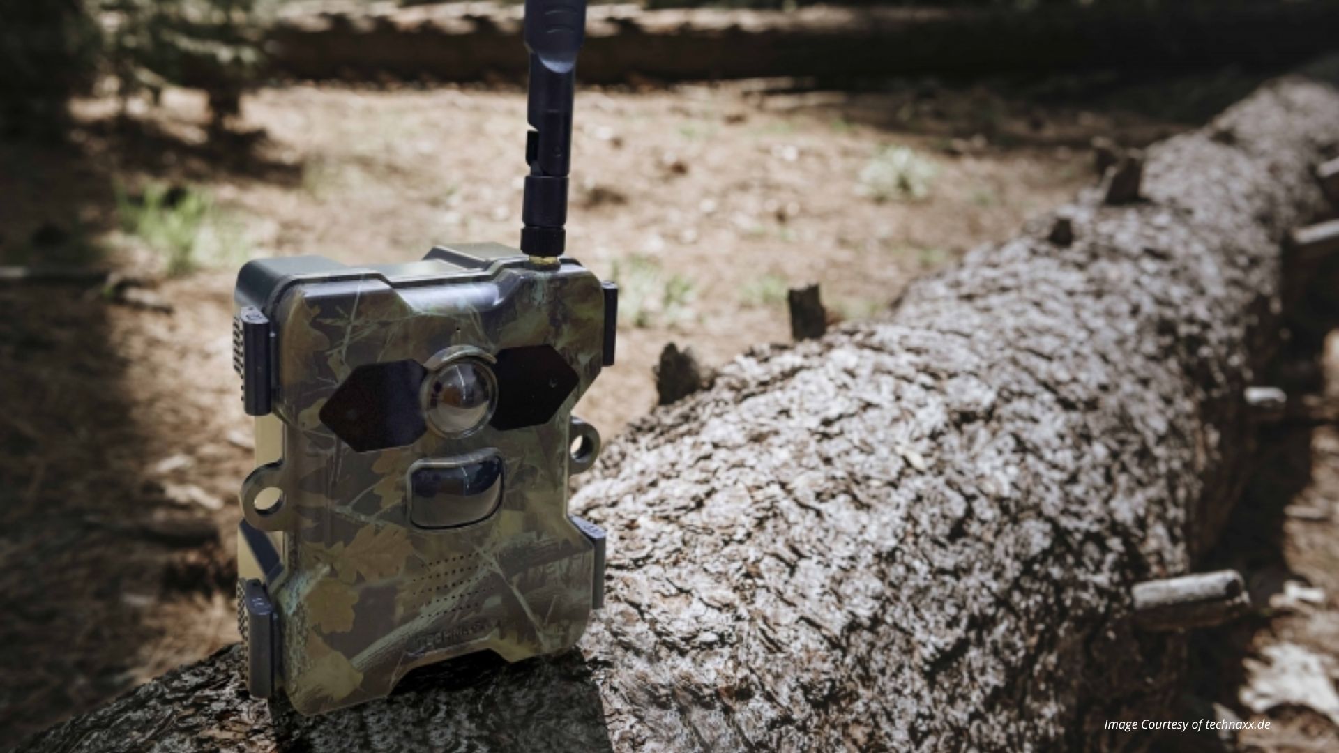 Technaxx TX-326 Wildcam Solare WiFi - Fototrappola Con Pannello Solare, Visione Notturna E Batteria 5000 MAh