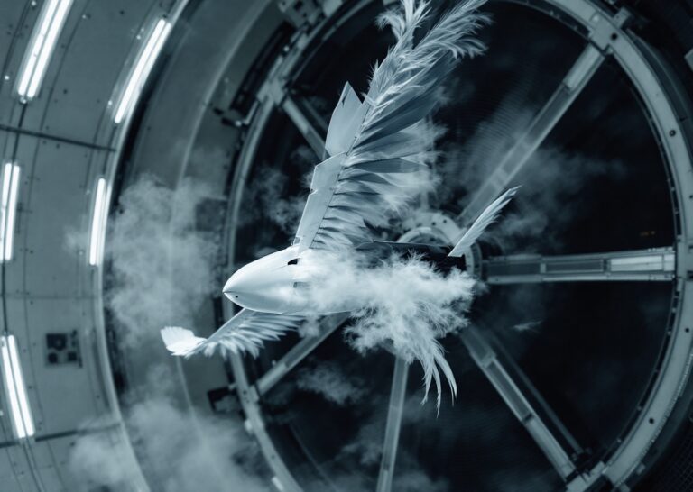 Bird-inspired drones ispirati a un falco testati in galleria del vento